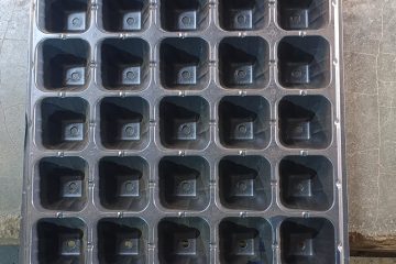 Seedling Trays